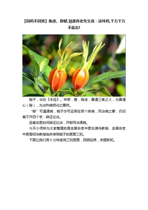 【同药不同效】焦虑、抑郁,刘渡舟老先生说：这味药,千万千万不能忘!