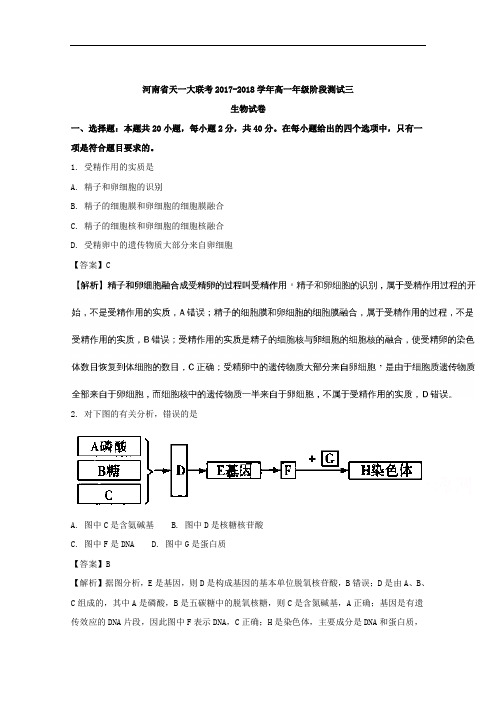 (解析版)河南省天一大联考2017-2018学年高一阶段测试三生物试题