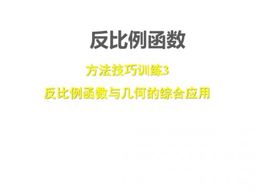 中考专题复习 反比例函数与几何的综合应用 (共29张PPT)