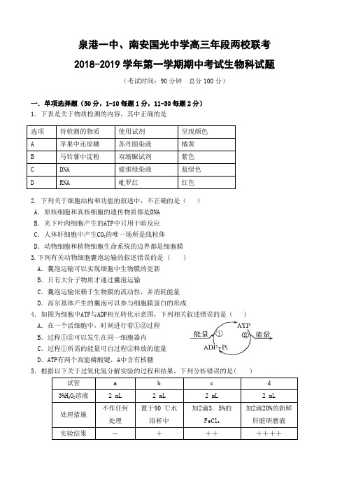 福建省泉州市泉港一中、南安市国光中学2019届高三生物上学期期中联考 生物