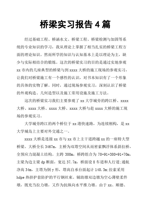 桥梁实习报告4篇