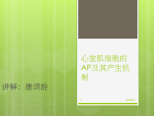 《生理学教学课件》心室肌细胞的ap及其产生机制 唐颂岭