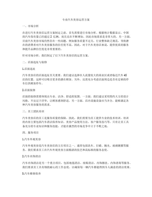 专业汽车美容运营方案