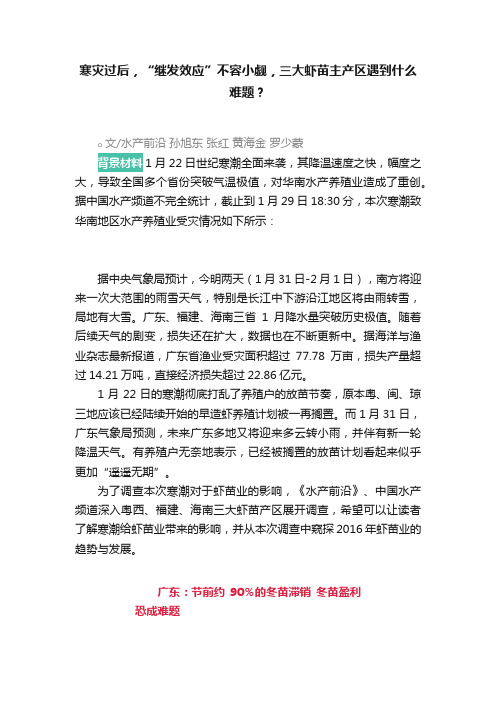 寒灾过后，“继发效应”不容小觑，三大虾苗主产区遇到什么难题？