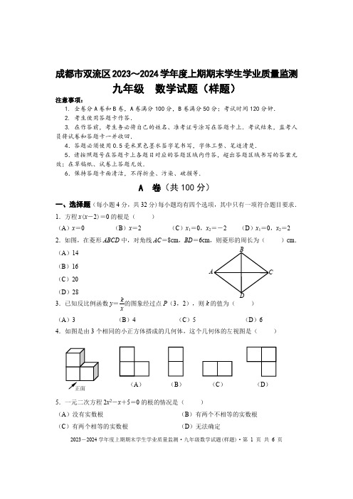 成都市双流区2023-2024学年九年级数学上期期末试题及答案(pdf版)