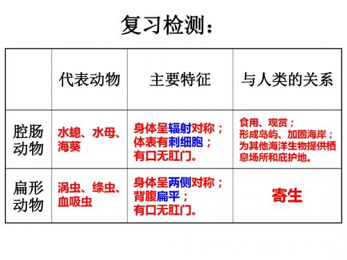 5.1.2线形动物和环节动物