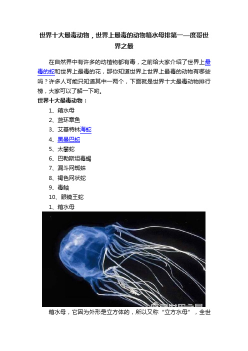 世界十大最毒动物，世界上最毒的动物箱水母排第一—度哥世界之最