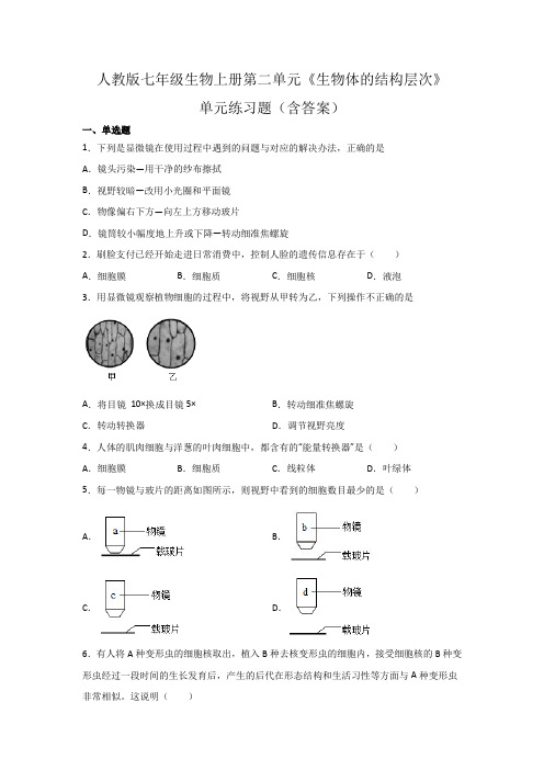 人教版七年级生物上册第二单元《生物体的结构层次》单元练习题(含答案)