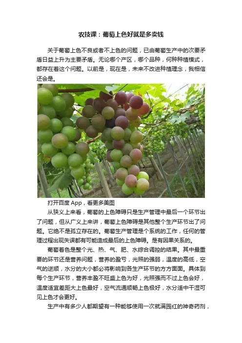 农技课：葡萄上色好就是多卖钱