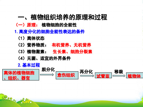 第03章 复习与测试(课件)高二生物同步课堂(提升版)(选修1)