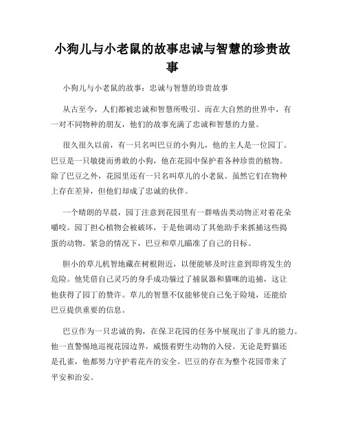 小狗儿与小老鼠的故事忠诚与智慧的珍贵故事