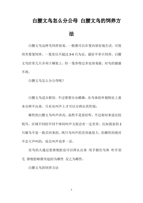 白腰文鸟怎么分公母白腰文鸟的饲养方法