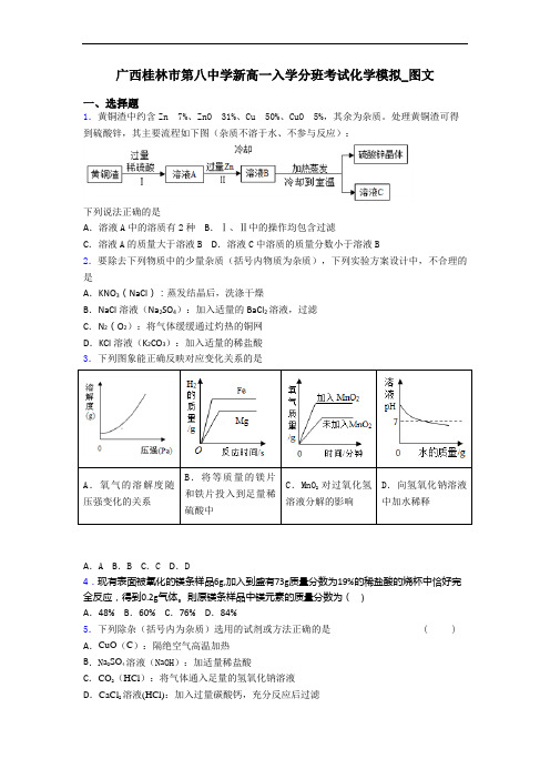 广西桂林市第八中学新高一入学分班考试化学模拟_图文