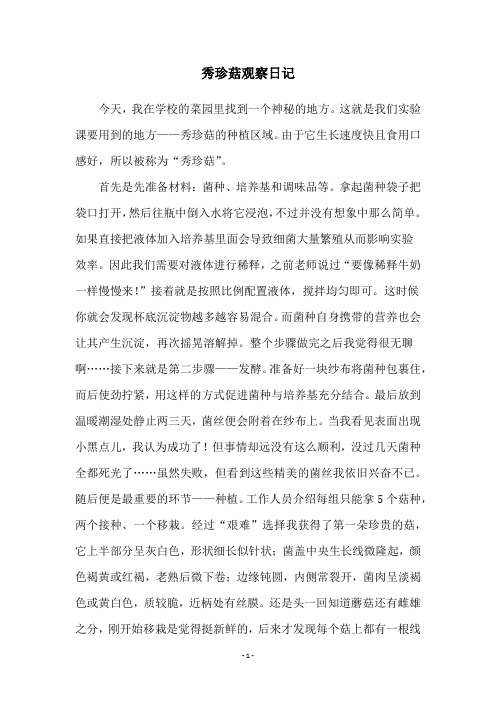 秀珍菇观察日记