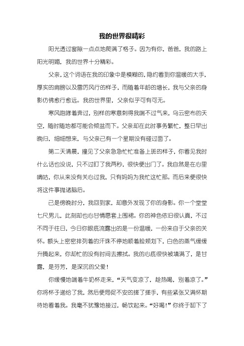 初二作文:我的世界很精彩作文600字