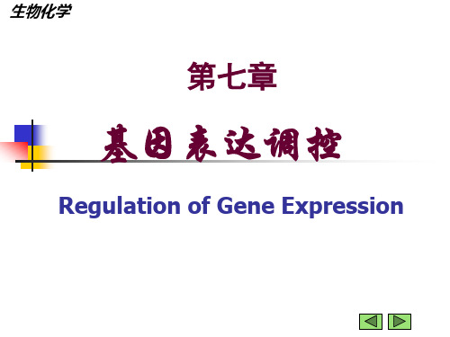 生物化学：基因表达调控 (2)