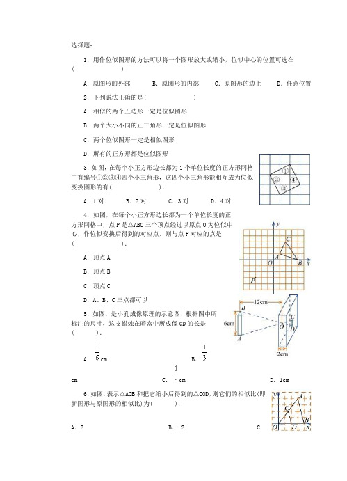 位似练习题集