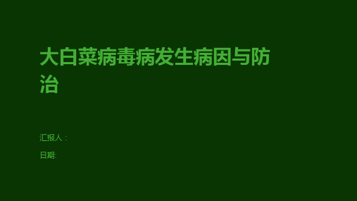 大白菜病毒病发生病因与防治