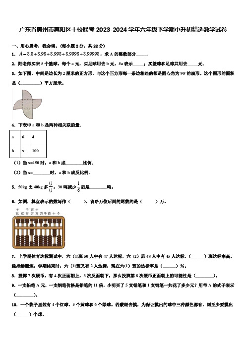 广东省惠州市惠阳区十校联考2023-2024学年六年级下学期小升初数学试卷含解析