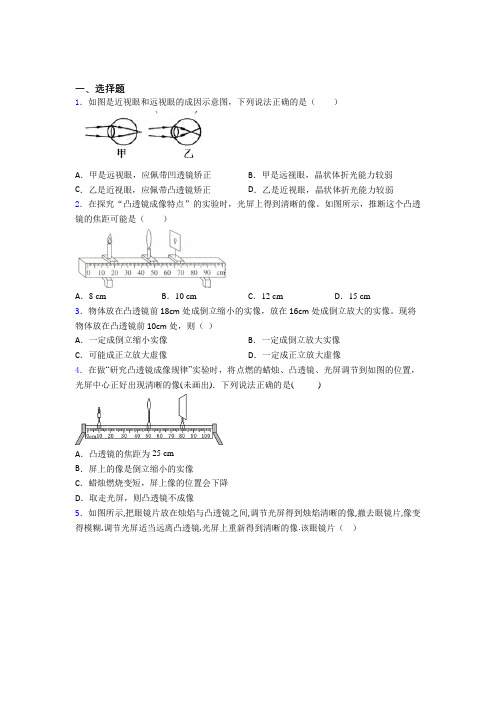 天津泰达枫叶国际学校初中物理八年级下第六章《常见的光学仪器》测试题(有答案解析)