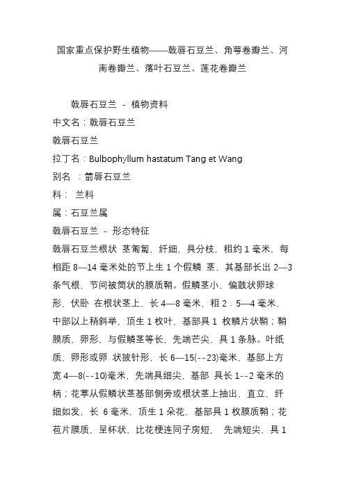 国家重点保护野生植物——戟唇石豆兰、角萼卷瓣兰、河南卷瓣兰、落叶石豆兰、莲花卷瓣兰