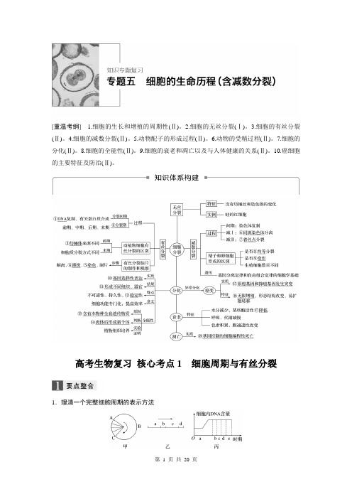 高考生物复习 专题五:细胞的生命历程(含减数分裂)
