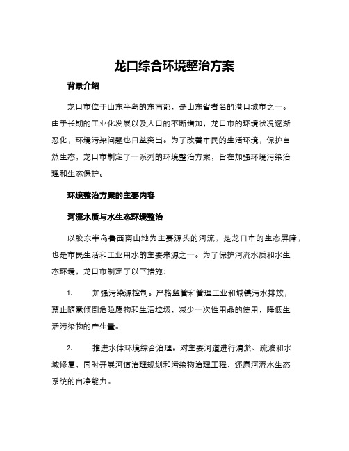 龙口综合环境整治方案