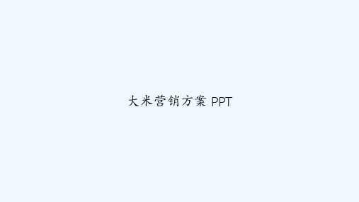 大米营销方案 PPT