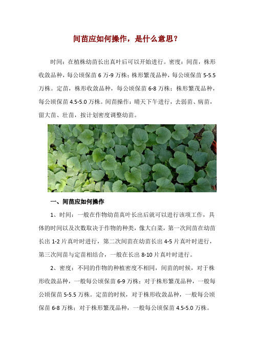 间苗应如何操作,是什么意思？