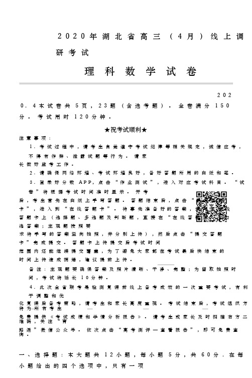 2020年  湖北省  高三(4月)线上调研考试 数学理