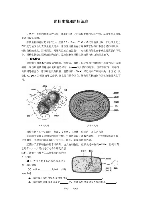 初中七年级(初一)生物原核生物和原核细胞