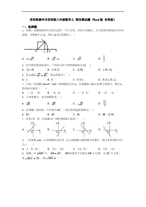 苏科版泰州市苏科版八年级数学上 期末测试题(Word版 含答案)