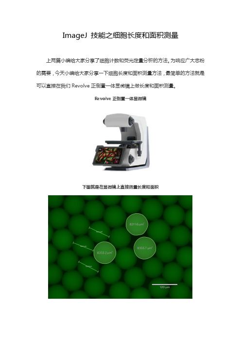 ImageJ 技能之长度和面积测量