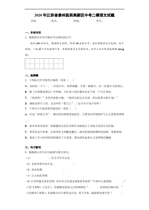 2020年江苏省泰州医药高新区中考二模语文试题