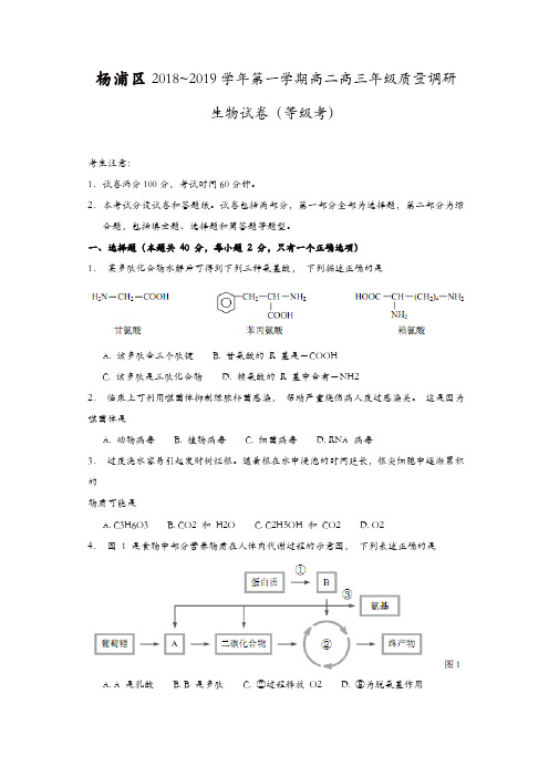 杨浦区2019年高二高三第一学期期末(一模)学科质量检测生物试题及答案【精品】