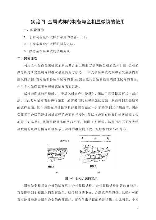 金属试样的制备与金相显微镜的使用