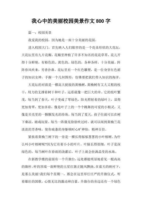 我心中的美丽校园美景作文800字