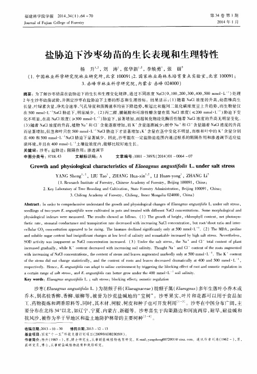 盐胁迫下沙枣幼苗的生长表现和生理特性