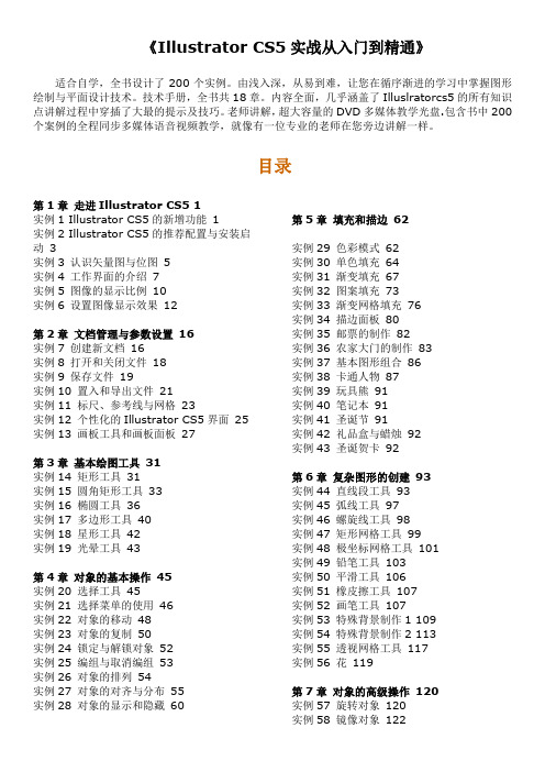 AI CS5 教程