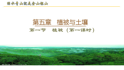 地理人教版必修一5、1植被课件(共36张PPT)