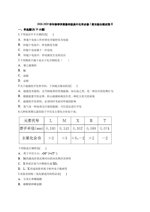 鲁科版高中化学必修2期末模拟综合测试卷II(含答案解析版)