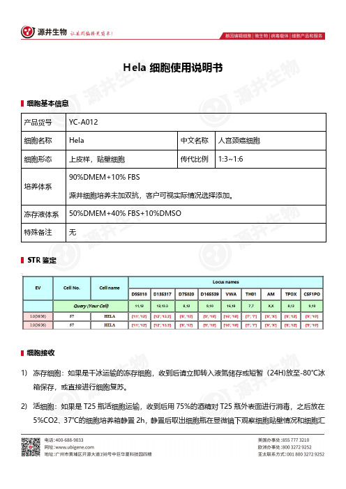 源井生物 YC-A012 Hela 细胞使用说明书