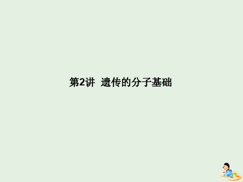 2020版高考生物二轮复习专题四遗传、变异与进化2遗传的分子基础课件