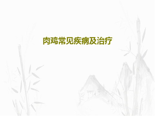 肉鸡常见疾病及治疗共41页