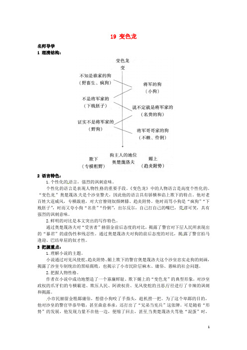【北京课改版】九年级上册：第19课《变色龙》课堂导学(含答案)