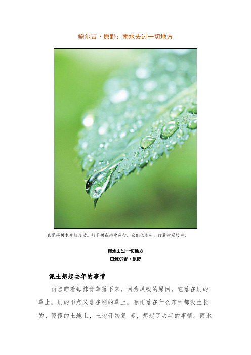 鲍尔吉·原野：雨水去过一切地方