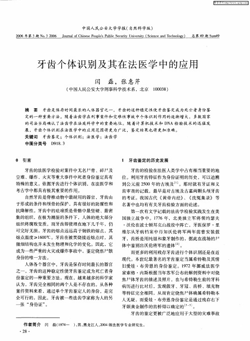 牙齿个体识别及其在法医学中的应用