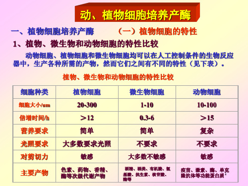 《酶工程》课件-动植物细胞培养产酶