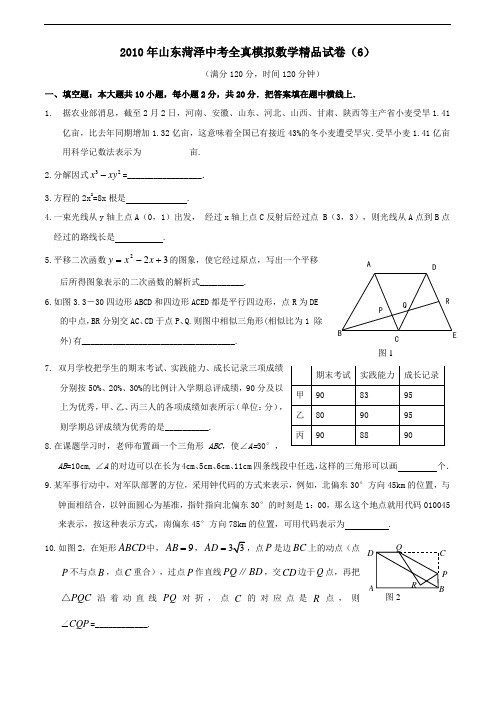 2010年山东菏泽北师大版中考模拟数学试卷