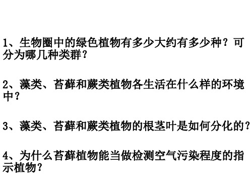 《藻类、苔藓和蕨类植物》 优秀课件 (共21张PPT)